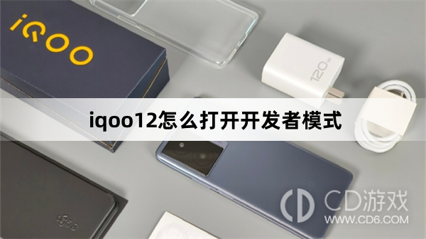 iqoo12打开开发者模式方法