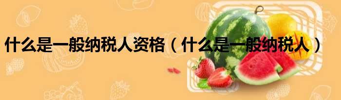 什么是一般纳税人资格
