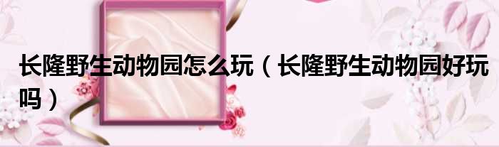 长隆野生动物园怎么玩