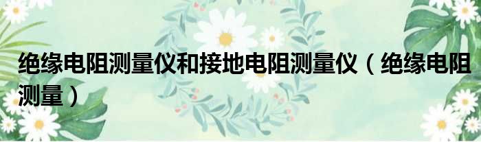 绝缘电阻测量仪和接地电阻测量仪