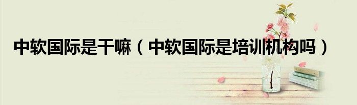 中软国际是干嘛