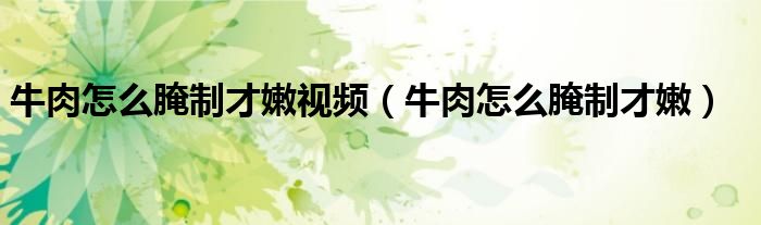 牛肉怎么腌制才嫩视频