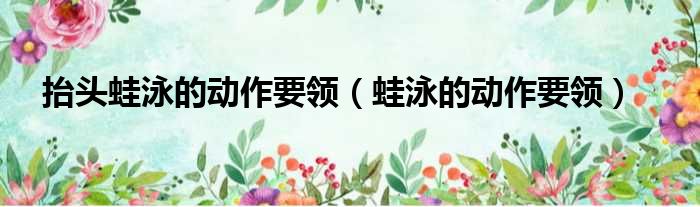 抬头蛙泳的动作要领