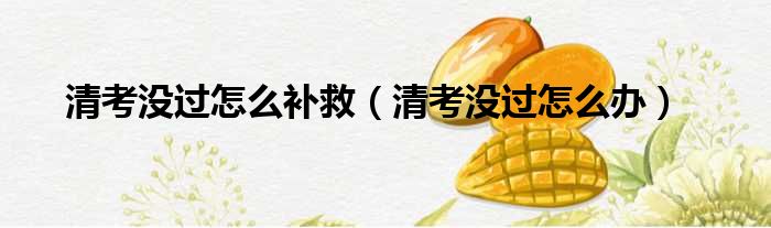 清考没过怎么补救