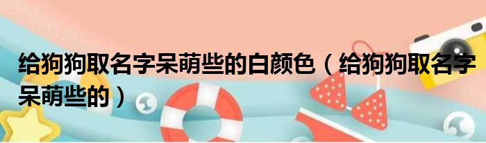 给狗狗取名字呆萌些的白颜色
