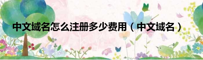 中文域名怎么注册多少费用