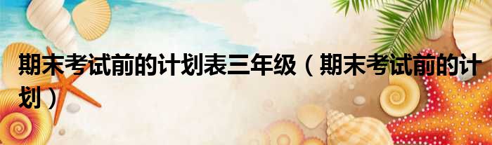 期末考试前的计划表三年级