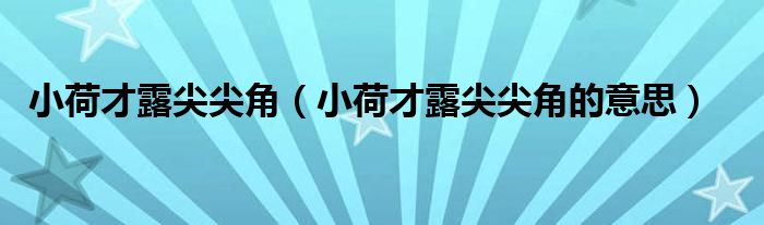 小荷才露尖尖角
