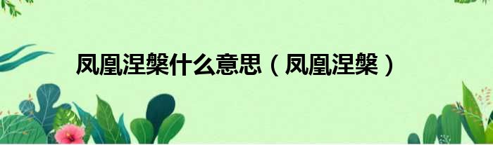 凤凰涅槃什么意思