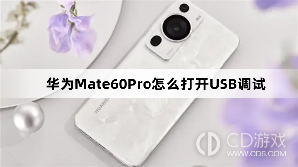 华为Mate60Pro打开USB调试教程