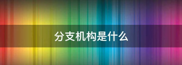 法人的组织机构是什么意思