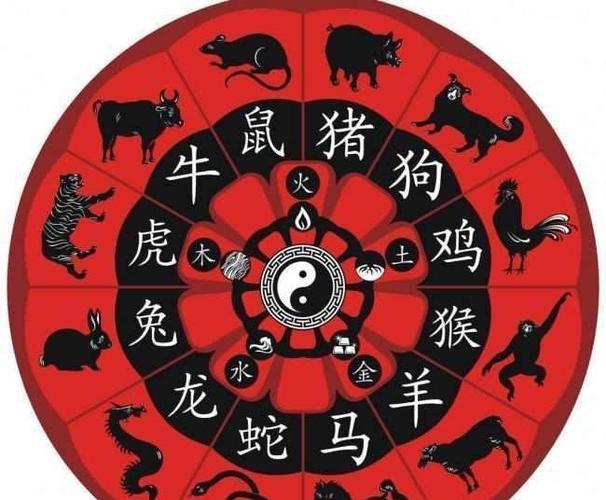 画肖是指哪些属相