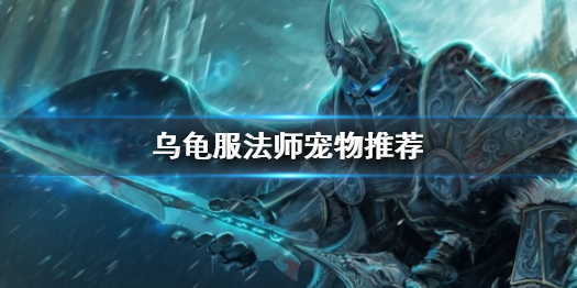 魔兽世界乌龟服法师宠物推荐一览