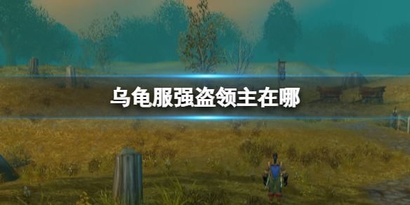 魔兽世界乌龟服强盗领主位置详情