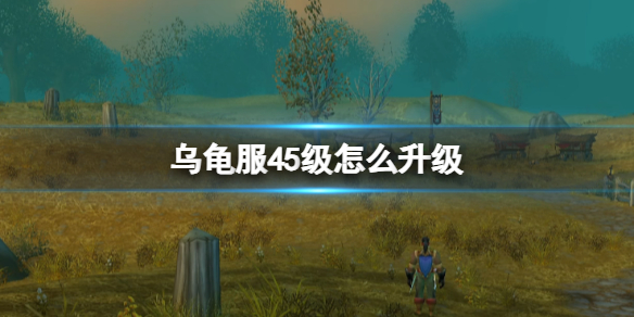 魔兽世界乌龟服45级升级详情