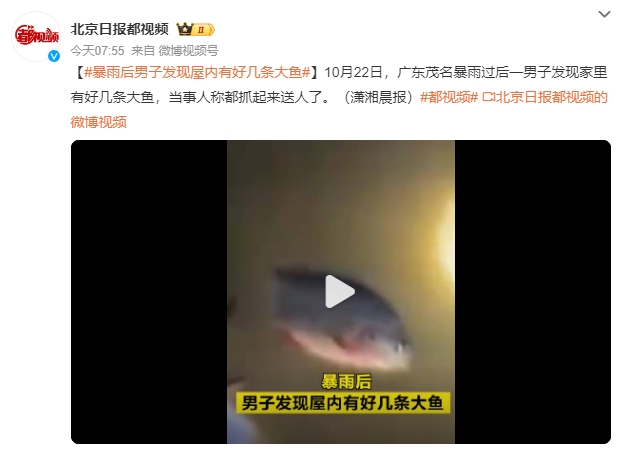 暴雨后男子发现屋内有好几条大鱼：一地的大鱼在扑腾