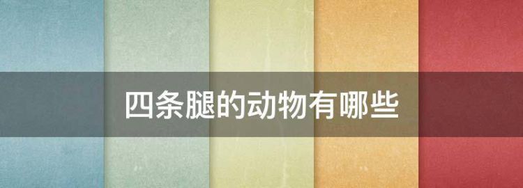 四条腿的动物有哪些