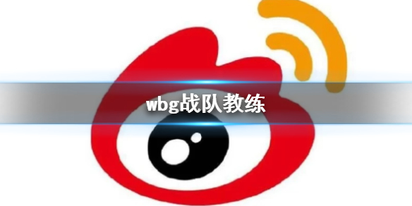 英雄联盟wbg战队教练详情
