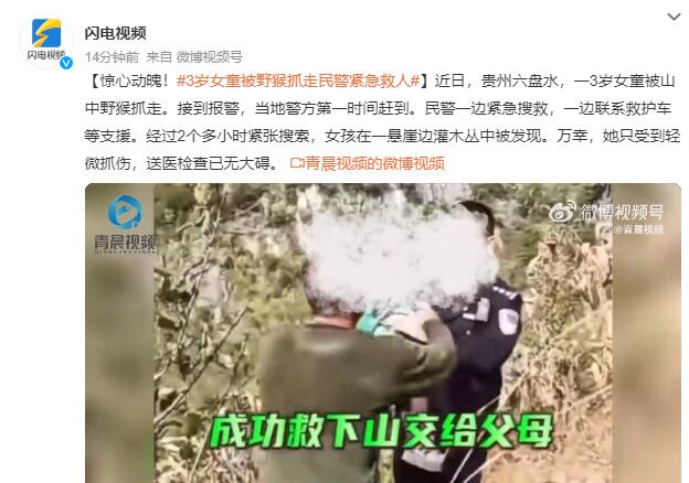 3岁女童被野猴抓走民警成功救回：女孩在一悬崖边灌木丛中被发现