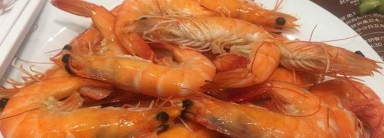 虾是什么动物