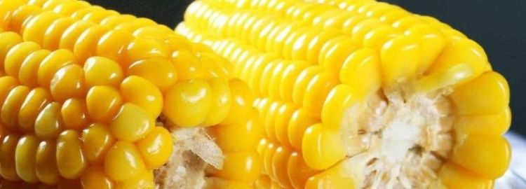 天天早上吃玉米对身体有害吗