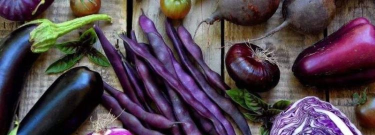 紫色菜有哪几种