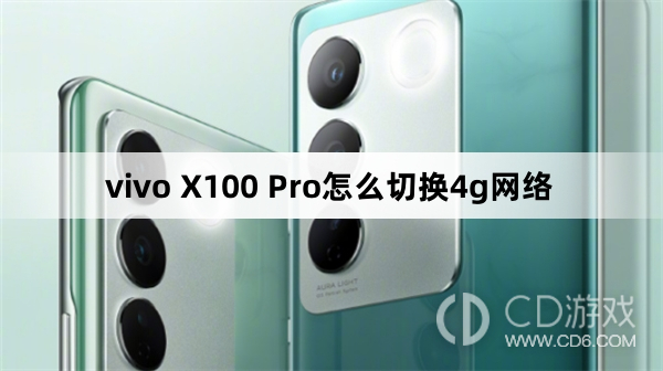 vivo X100 Pro切换4g网络方法