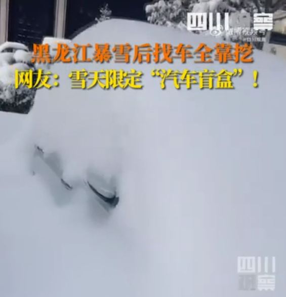 黑龙江暴雪后找车全靠挖 有可能挖到一半发现挖错了 网友：好像开盲盒