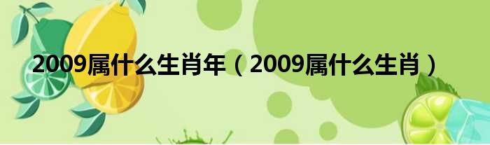 2009属什么生肖年