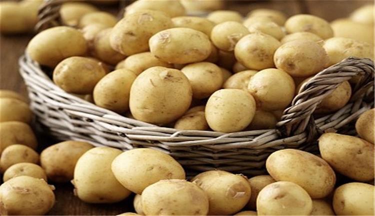 土豆的性质和饮食搭配