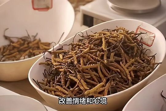 食用虫草的禁忌事项