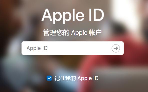 查看苹果ID的步骤