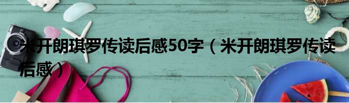 米开朗琪罗传读后感50字