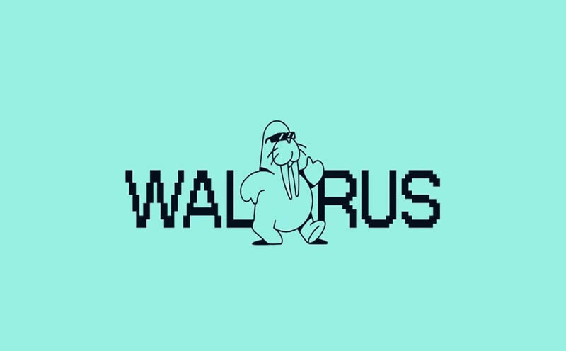 WAL币融资1.4亿成SUI生态存储新星，WAL币未来前景如何？