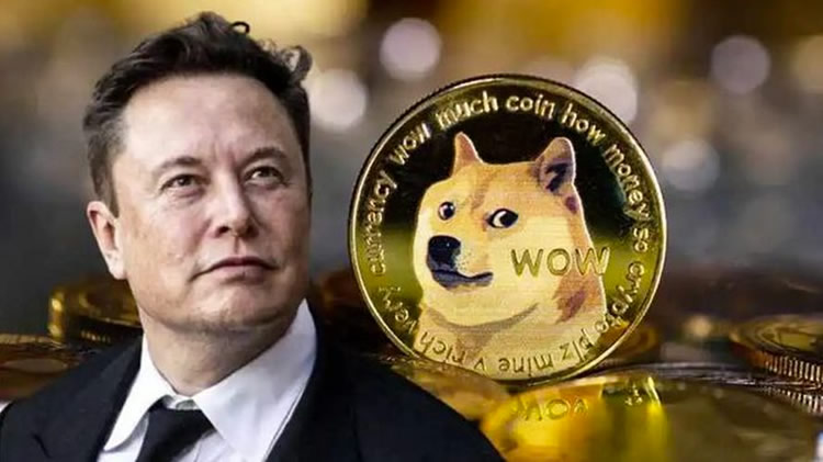 马斯克辟谣DOGE传闻：狗狗币抄底机会何在？