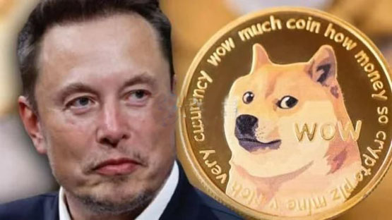 马斯克：美国没有计划使用狗狗币！DOGE成为马斯克事业绊脚石？