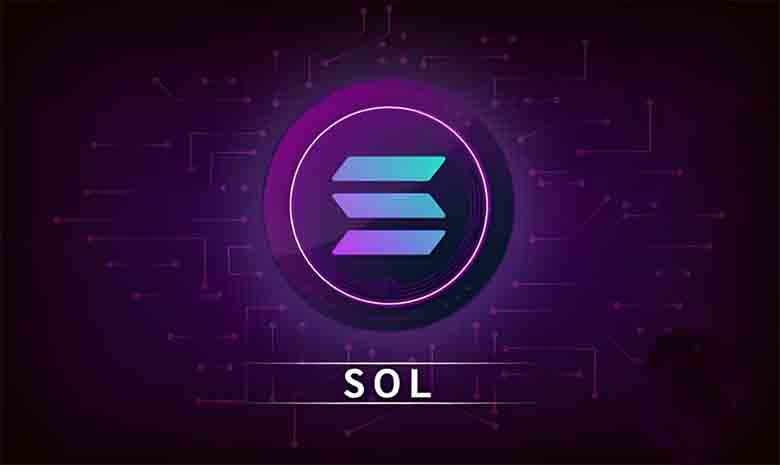 2025年Solana (SOL)质押新手教程：初学者的分步指南