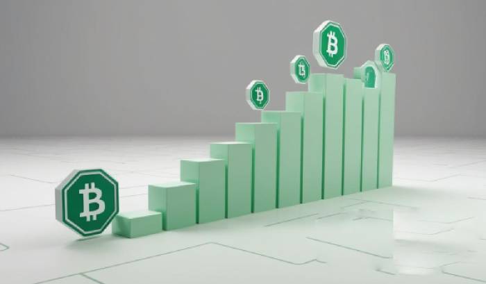 比特币质押是什么(比特币质押活动)
