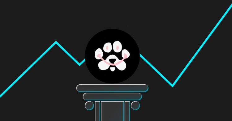PAWS未来发展如何(PAWS未来发展前景怎么样)