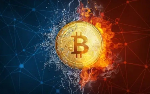 新手如何选择比特币交易平台?虚拟货币交易平台有哪些？