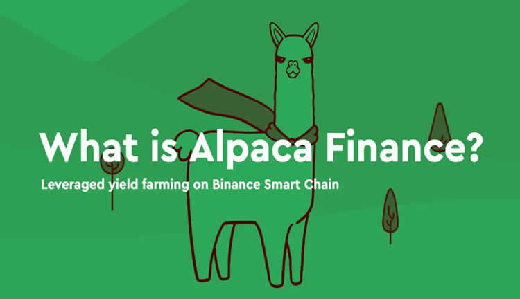 ALPACA币是什么(alpaca代币)