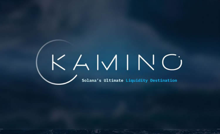 Kamino(KMNO)币是什么(kalm是什么币)