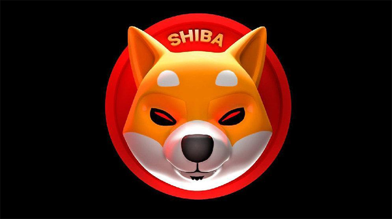柴犬能在2025年下半年攀升10倍以上吗(柴犬能养到几岁)