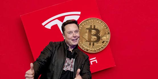 特斯拉Q2继续持有比特币！营收冲新高 但毛利率下降(特斯拉q2财报发布时间)