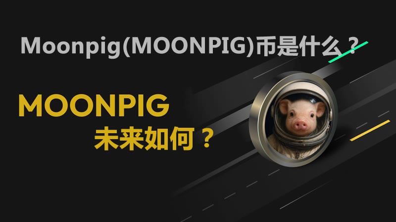 Moonpig(MOONPIG)币是什么？未来如何？MOONPIG价格预测