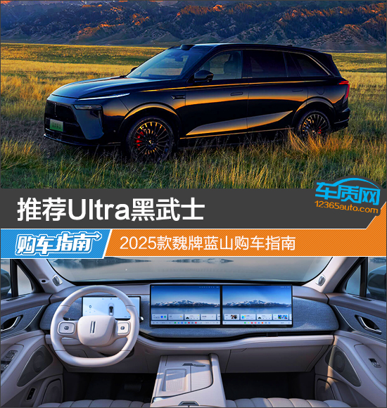 推荐Ultra黑武士 2025款魏牌蓝山购车指南