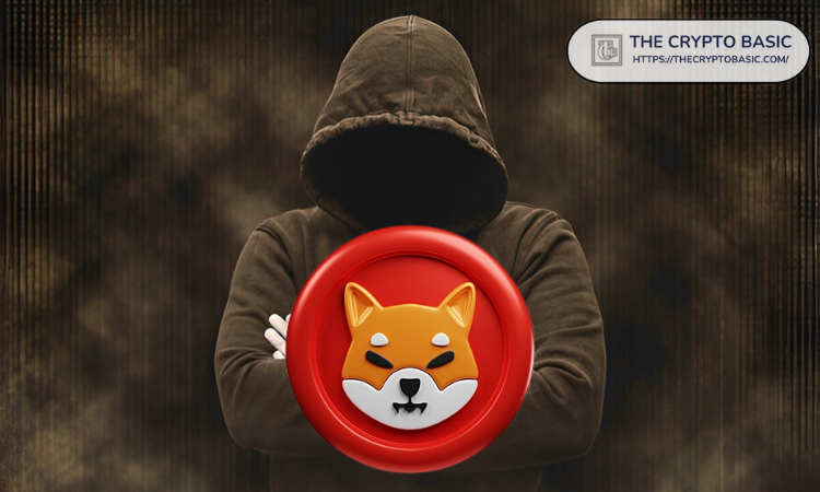 柴犬币负责人分享你可能错过的重要消息