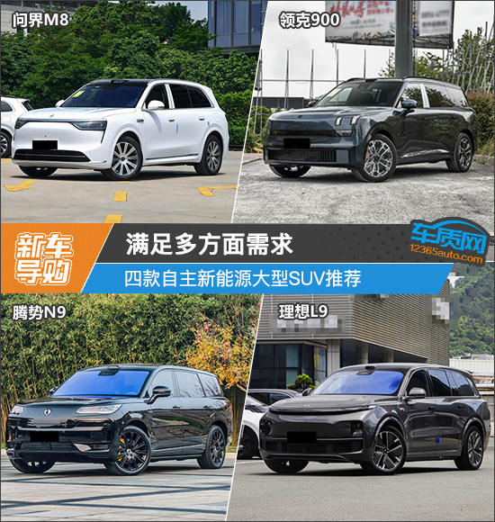 满足多方面需求 四款自主新能源大型SUV推荐