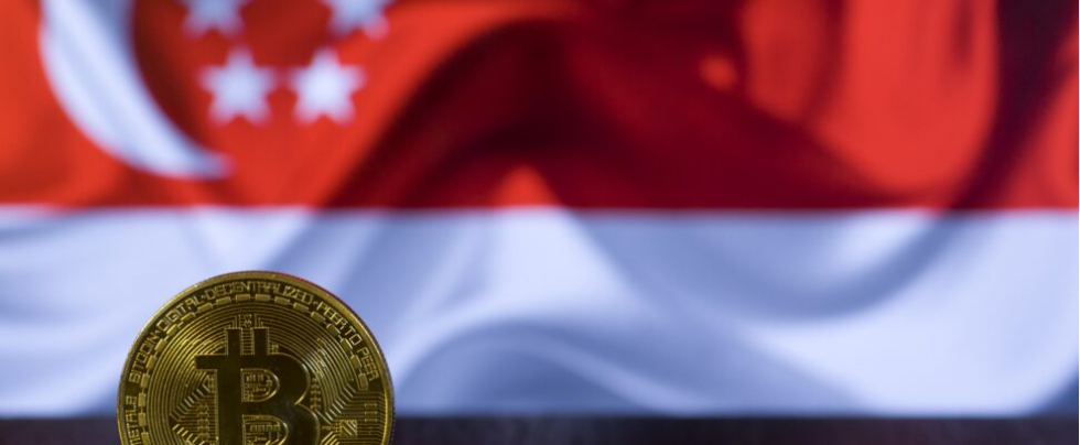 新加坡Web3清场之后，隐形玩家浮出水面