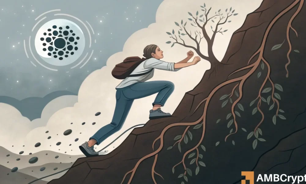卡尔达诺的价格短期内可能难以回升——原因如下！